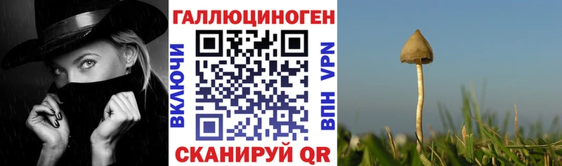 Галлюциногенные грибы мухоморы  Купить где  Славгород 